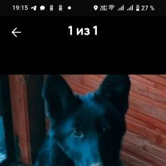 ����: ������� ������  �������� ������ �������� � �. ��������