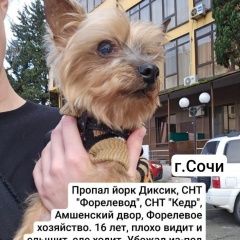 ����: ������� ������ ����������� ������ �������� ������ ������ ���� ���� � �. ����