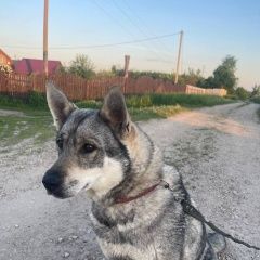 ����: ������� ������  ������� �������� ������� ������ ����� ����� � �. ������ ��������