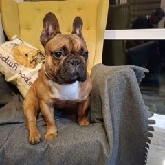 ����: ������� ������  ���������� ������� ������ ������ ����� � �. ���������