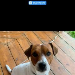 ����: ������� ������  �������� ������ ������ �������� � �. ��������