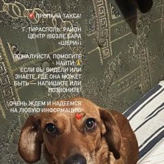 ����: ������� ������  �������� ������ ���������� � �. ���������