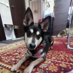 ����: ������� ������  �������� ������ ���� � �. ����