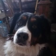 ����: ������� ������  �������� ������ ������ �������� � �. ��������