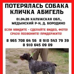 ����: ������� ������ �������� �������� ������ �������� ������� � �. ������