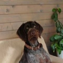 ����: ������� ������ �������� �������� ������ ������ �������� ������� � �. ������