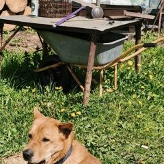 ����: ������� ������  �������� ������ ������ �������� ����� ������...� � �. �����������