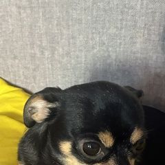 ����: ������� ������ ���-������ �������� ������ ������� � �. �������