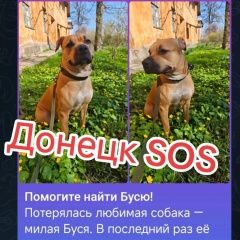 ����: ������� ������ ������������ ��������������� ������ �������� ������ ������� ������ (���)� � �. ������ (���)