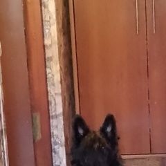 ����: ������� ������ ����������� ������ �������� ������ ��������� � �. ���������