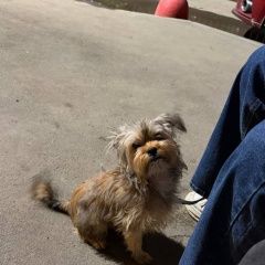 ����: ������� ������ ����������� ������ �������� ������ ������ ������ � �. �����