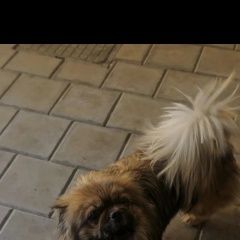 ����: ������� ������  �������� ������ ����� ����� ���������� � �. ���������