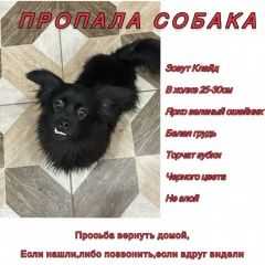 ����: ������� ������  �������� ������ ������ ������� � ���� ����� ������� � �. ������