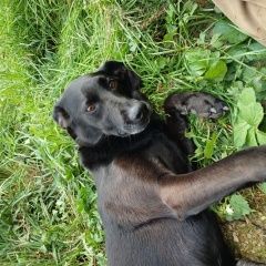 ����: ������� ������  �������� ������ ������� � �. �������