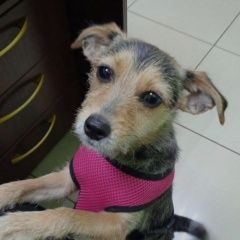 ����: ������� ������  ���� ������� ������ � �. ���