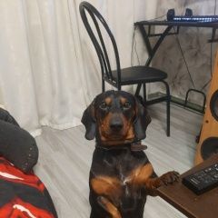 ����: ������� ������ ����� �������� ������ ������ ��, ����� ���������� � �. ����������