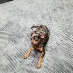 ����: ������� ������ ���-������ �������� ������ ������, �������� ����� ���������� � �. ���������