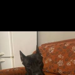 ����: ������� ������  �������� ������ ������� � �. ������