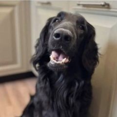 ����: ������� ������ ������������� �������� �������� ������ ������ � �. ������