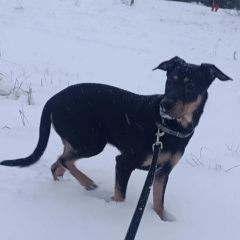 ����: ������� ������  �������� ������ ������ ������-���������� � �. ������-����������