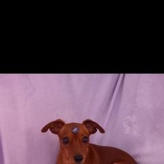 ����: ������� ������ ����������� (���������� ������) �������� ������ �������� � �. ��������