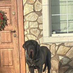 ����: ������� ������ ������ ��������� ������� ������ ������� � �. ��������