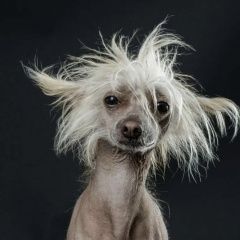 ����: ������� ������ ��������� �������� ������ �������� ������ ������ ��������� �������� �����...� � �. ����������