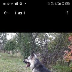 ����: ������� ������ ��������-����������� ������� ������� ������� ������ ������� � �. ������