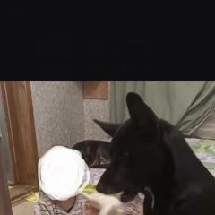 ����: None  ������� �������� ����� � �. ������