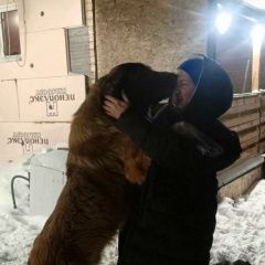 ����: ������� ������ ���������� ������ ������� ������ � �. �����