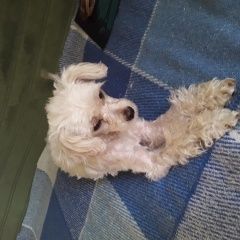 ����: ������� ������ ������ ������� ������� ������ � �. ������