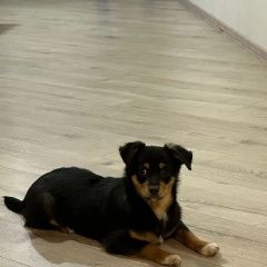 ����: ������� ������  �������� ������� ������ ������� � �. �������