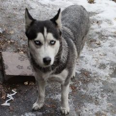 ����: ������� ������ ��������� ����� �������� ������ ����������� � �. �����������