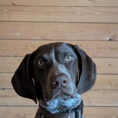 ����: ������� ������ �������� ��������� ������� ������ ������ ����� � �. ��������