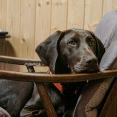 ����: ������� ������ �������� ��������� ������� ������ ������� � �. ��������