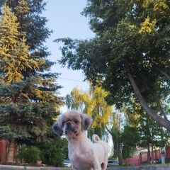 ����: ������� ������ ��-��� �������� ������ ����������� � �. �����������