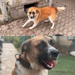 ����: ������� ������  ���������� ������� ������ � �. ���������