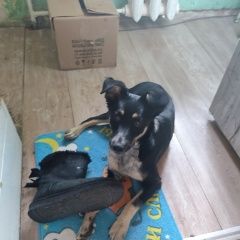 ����: ������� ������  ������� ������� ������ ������ ������ �����...� � �. ������