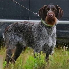 ����: ������� ������ �������� �������� ������ �������� ������� � �. ������