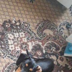 ����: None ����� ����������� �������� ����� ������� ����� � �. ����������