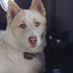 ����: ������� ������  �������� ������ ������ ������ ����� � ���������...� � �. ��������