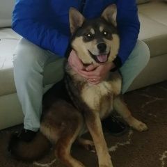 ����: ������� ������  �������� ������ ������ ����� � �. �����