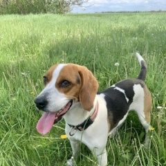 ����: ������� ������ ������ ���������� ������� ������ �������� ����������...� � �. ���������