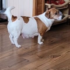 ����: ������� ������ ���� ������ ������ �������� ������ ����� � �. �����