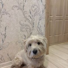 ����: ������� ������ ���� ������� ���� ������ �������� ������ ������ ����� ������ �������� � �. ��������