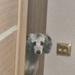 ����: ������� ������ ������ �������� ������ ������ 6 �������, � ����������...� � �. �����������