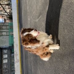 ����: ������� ������  ����������� ������� ������ ������ ����������� ������ � �. ����������