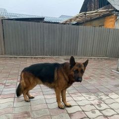 ����: ������� ������ �������� ������� �������� ������ ������ � �. ������