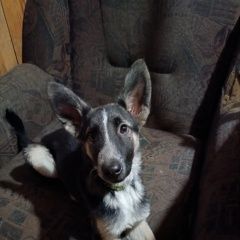 ����: ������� ������  �������� ������ ������� � �. �������