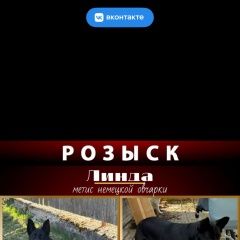 ����: ������� ������  �������� ������ ������ � �. ������